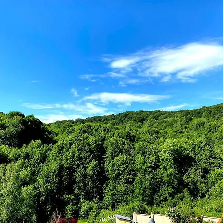 Wellwood * Sinyak (Transcarpathia)